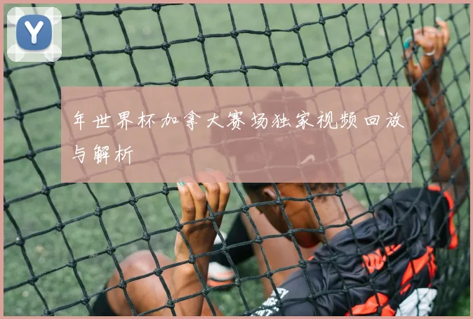 年世界杯加拿大赛场独家视频回放与解析